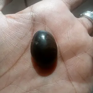 galih kelor motif hitam belang macan serat bulu macan