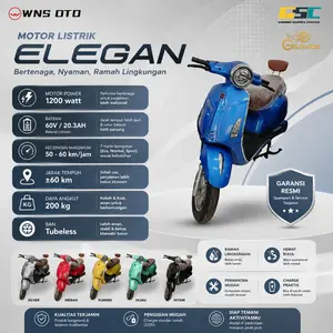Motor Listrik WNS OTO WTSL 1.0