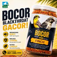 Gambar Makanan Burung CAROLL BOCOR Blackthroat Sanger Mozambik Sehat Gacor dari Seputar Burung Indonesia Kab. Sukoharjo 1 Tokopedia
