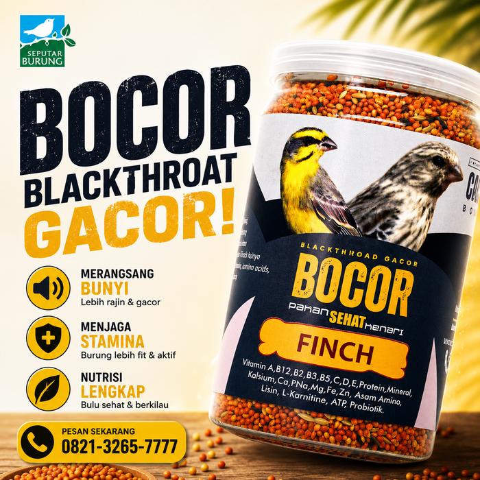 Gambar Makanan Burung CAROLL BOCOR Blackthroat Sanger Mozambik Sehat Gacor dari Seputar Burung Indonesia Kab. Sukoharjo Tokopedia