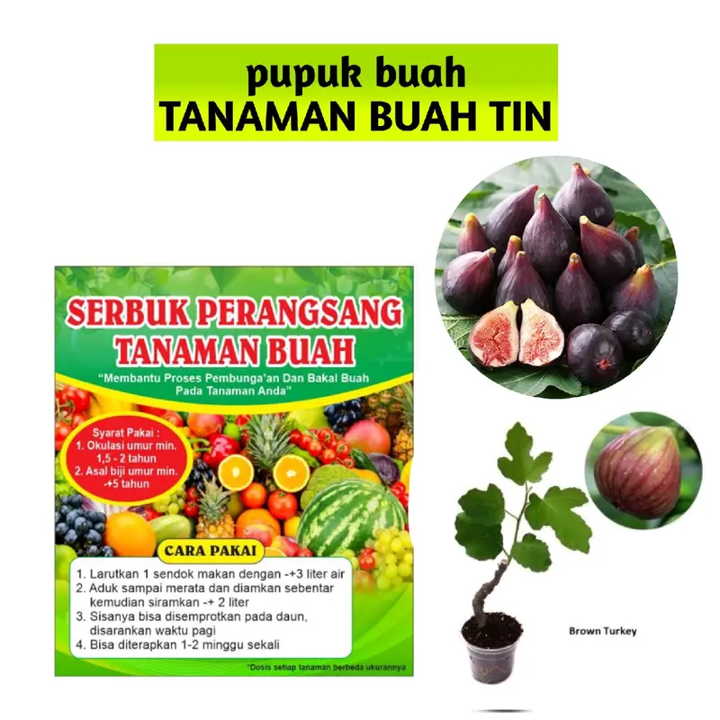 pupuk buah untuk(TANAMAN BUAH TIN) 0