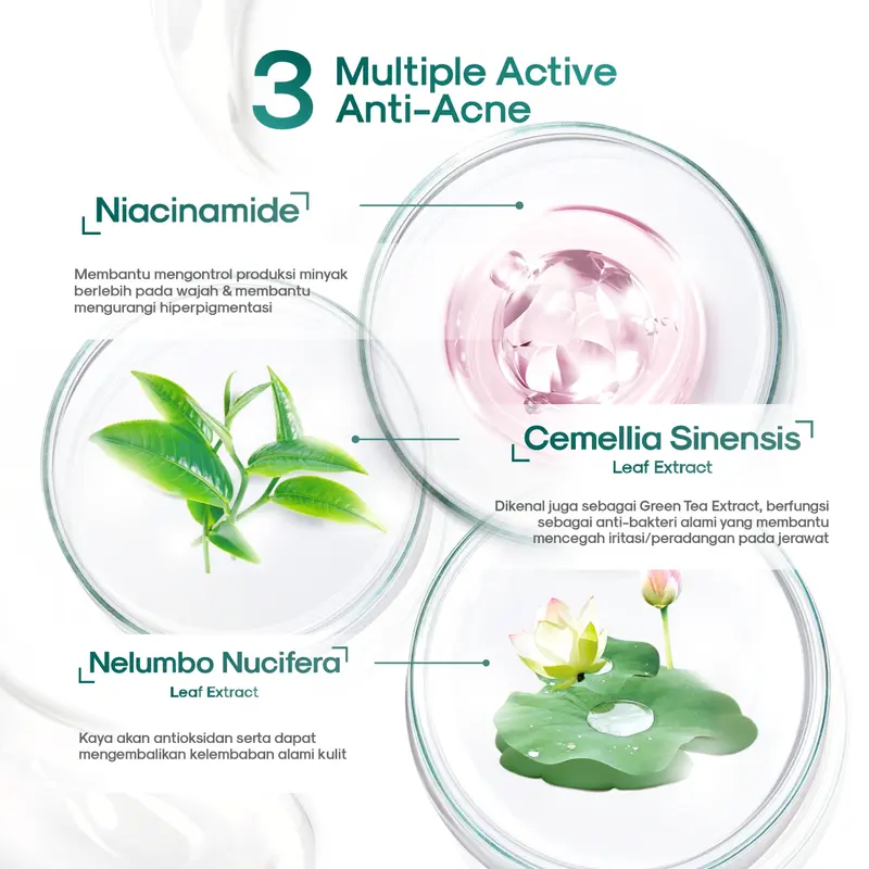 [ORI] Serum Perawatan Muka Berjerawat Bruntusan - Acneno Isi 12 ml | Bantu Atasi Wajah Bruntusan Berminyak Kusam Mengandung Niacinamide | BPOM Original 3