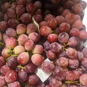 Anggur Red Globe Manis Ya Ukuran 500 Gr Kualitas Terbaik untuk Camilan dan Minuman Segar