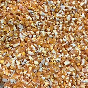 Jagung Pecah/Giling, Pakan Ayam dan Burung netto 1000gr