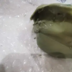 BONCELLOS - Pistachio Pasta 500 Gram