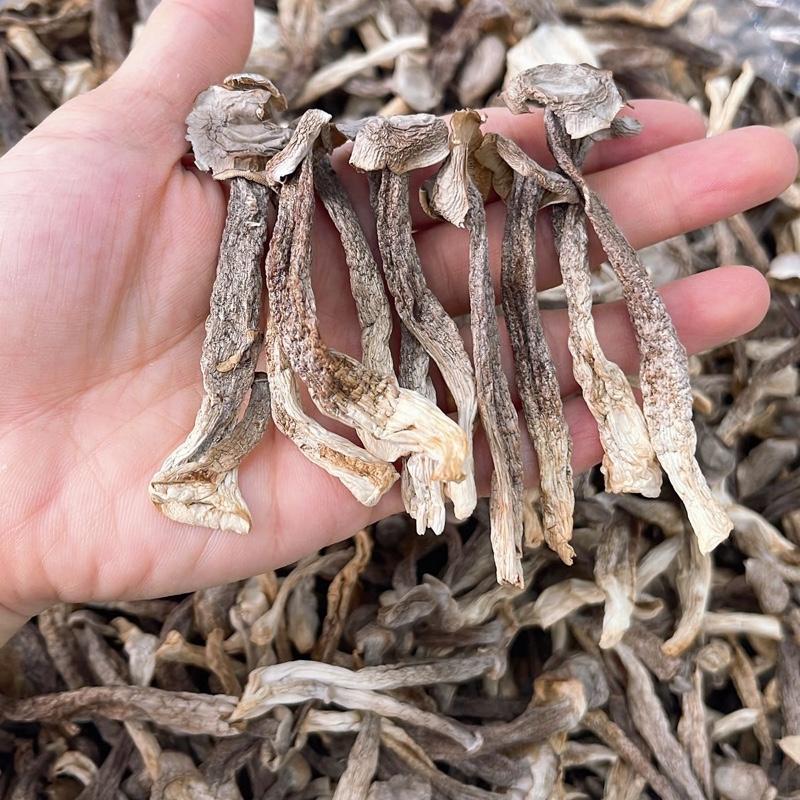  Túi 500g Nấm Lộc Nhung Loại 2 cây nhỏ hơi vàng - mặn - chay 