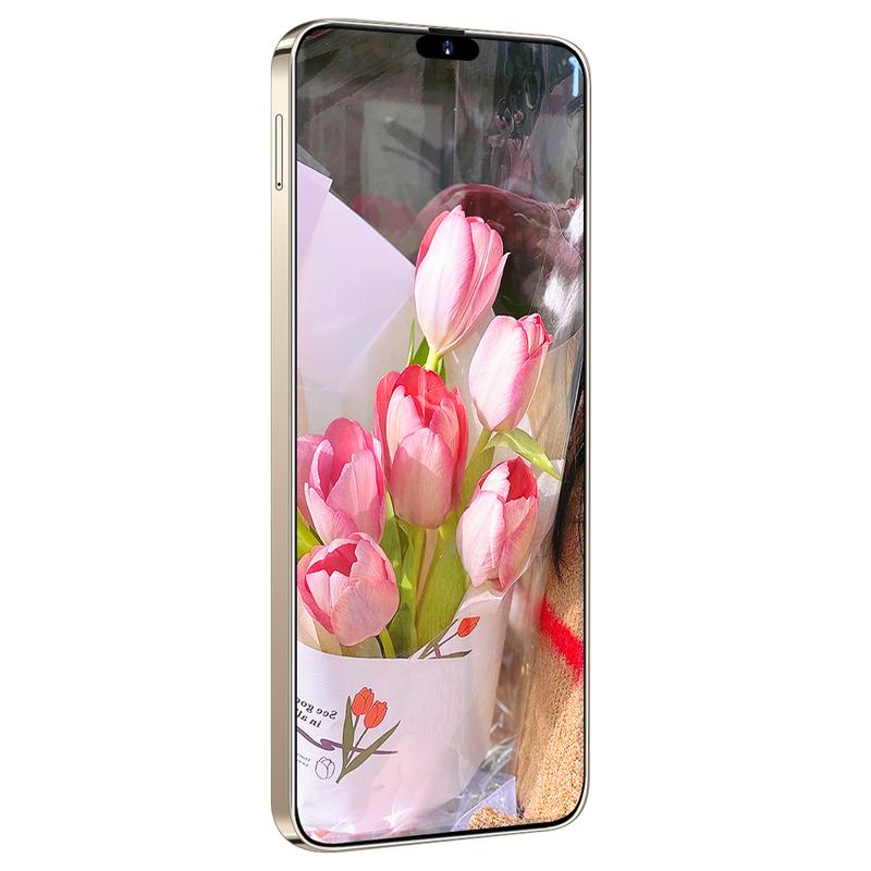 LUONG THI2 Màn hình viên nang 6,7 inch 2025 Android 13 mới, tín hiệu 5G, bộ nhớ 12+512GB 2