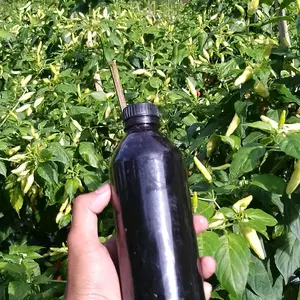 microba Activ.microba yang bisa mencegah rebah semai,ptium,layu bakteri dan layu Fusarium
