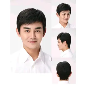 Wig Pria Korea Rambut Pendek Warna Hitam Alami kode PDK