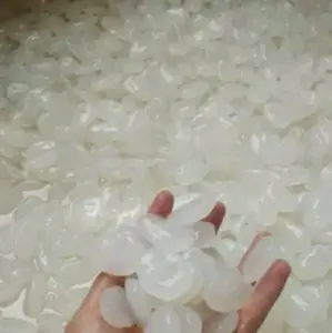 Kolang Kaling Organik Wijen Netto 1 Kg Produksi Harian Kualiti Netto 1 Kilogram