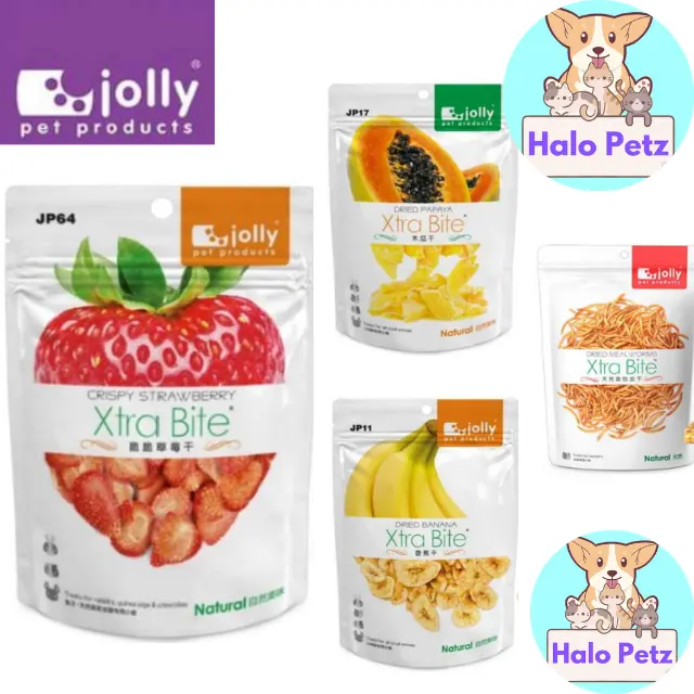 JOLLY Small Animal Treats- Dried apple/Banana/Pineapple/Strawberry/Papaya and Meal worm/Cheese cube