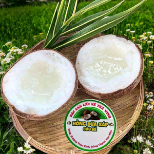 dừa sáp thuhồng