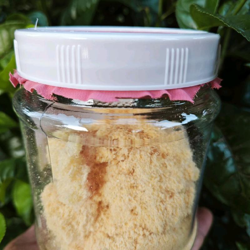 20 gram trứng sâu canxi làm Thức ăn cho gà,chim,cá