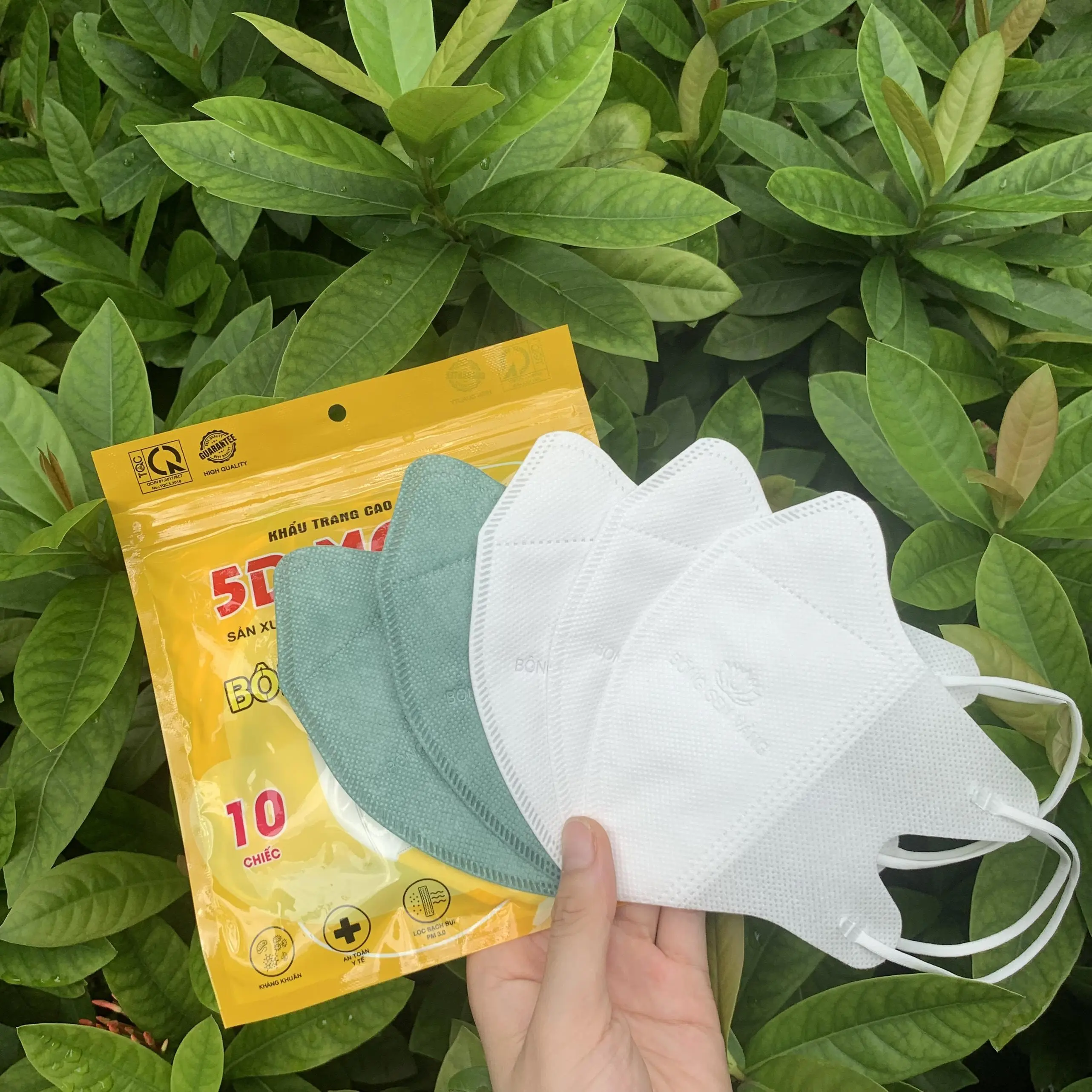 Trắng + Xanh Lá