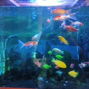 Lampu LED Jepit Flexible Bulat 3 Mode Ganti Warna