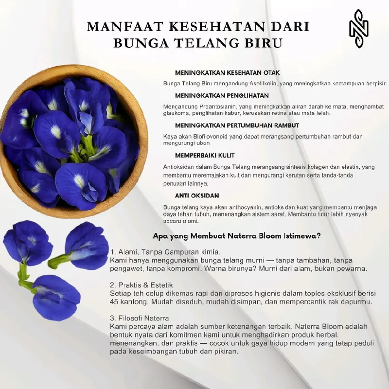 NATERRA Teh Celup Cantik Enak & Sehat Purple Breeze 24 Tea Bag Pyramid Bunga Telang Lemon Mint Menyegarkan 1
