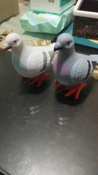 Product Review of Kids Clockwork Toy Jumping Pigeon Simulation Animal Cute Wind Up Baby Toy Children Educational Toys for Boys Girls Funny Gifts from B**a A**t L**o 1