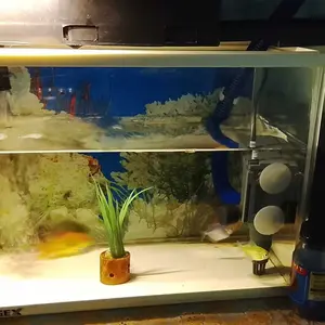 Lampu Akuarium Lampu LED Soliter Cupang Lampu LED Mini Aquarium Lampu