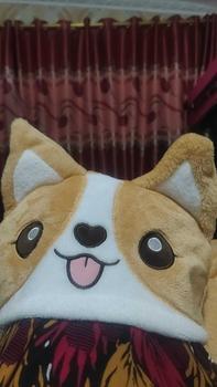 Product Review of NTL B056 Selimut Hoodie Topi Kuala , Shiba Inu, Kelinci , Dino , Piggy Dangan Sarung Tangan, Jubah Anak Dewasa from 🥰**🥰 0