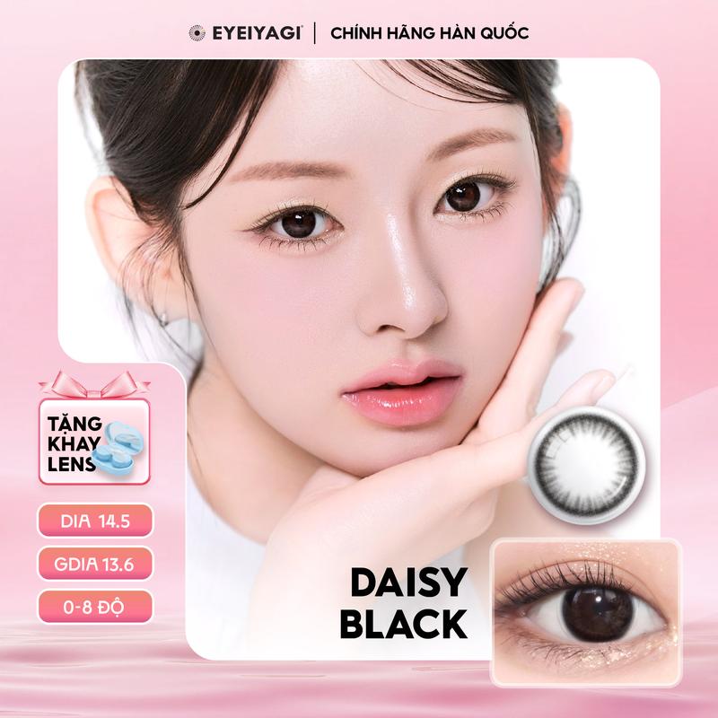NEW DAISY BLACK - kính áp tròng cận thời trang màu đen giãn tròng tự nhiên Hàn Quốc 3 tháng |Độ cận 0-8 DIA 14.5mm|
