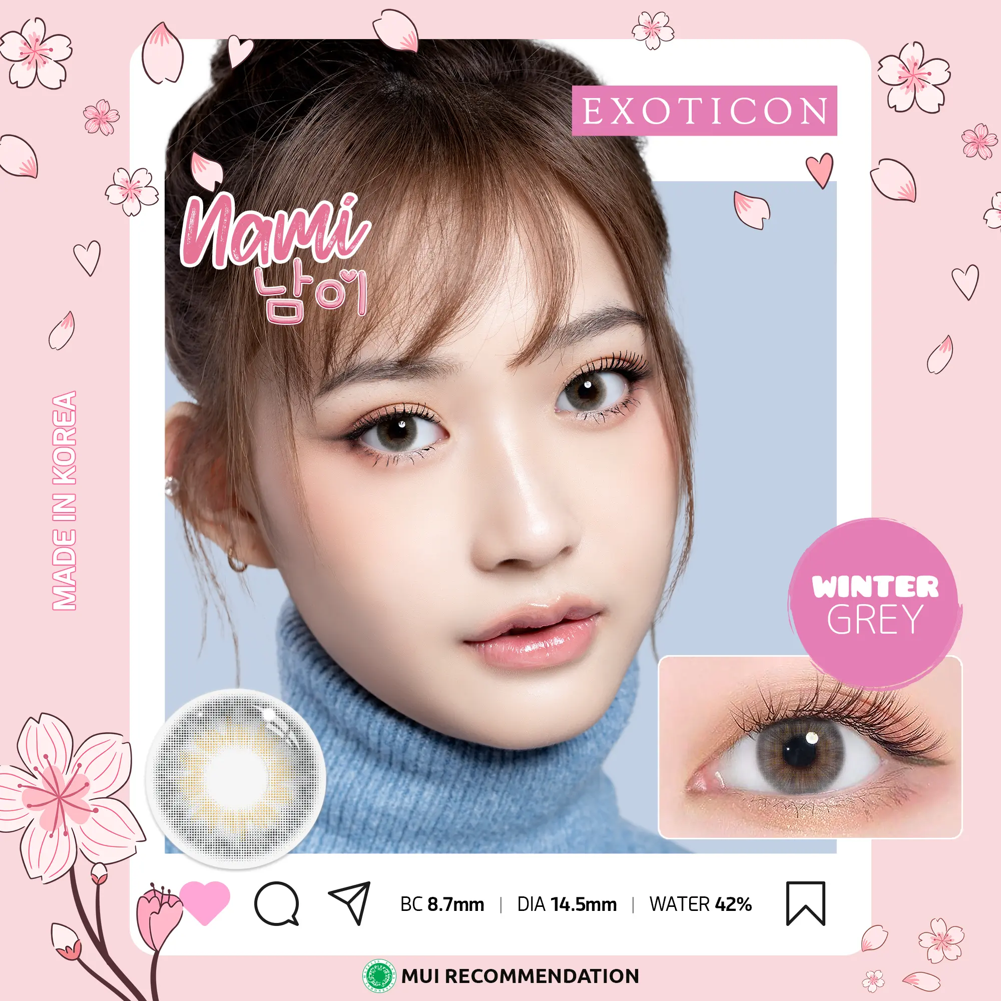 Exoticon Softlens - Nami - Winter Eye Soflens Lensa Brown