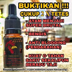 Doping ATP-Lingsir Weton Rahasianya Ayam Juara Para Botoh