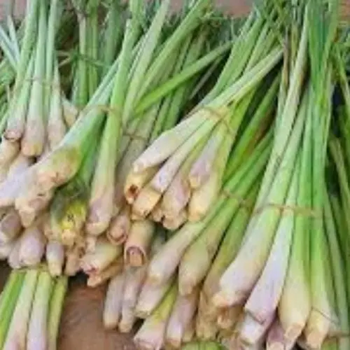 serai per ikat 5000 , serai untuk masakan, serai untuk jamu tradisional