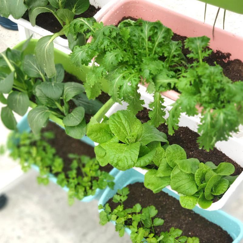 Product Introduction of Aum Garden Vertical Planter Wall Durable For Garden Balcony 4 Tier Planter With Wheels Movable 5