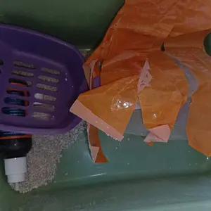 Winicats Paket Hemat Litter Box Kucing dan Mangkok Makan 5in1 dengan Perlindungan Odor dan Wadah Serbaguna