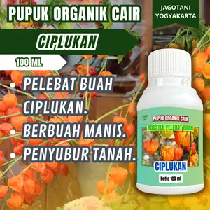 Pupuk Organik Cair Ciplukan 100 Ml Pelebat Dan Penyubur Buah Ciplukan By Jagotani Yogyakarta