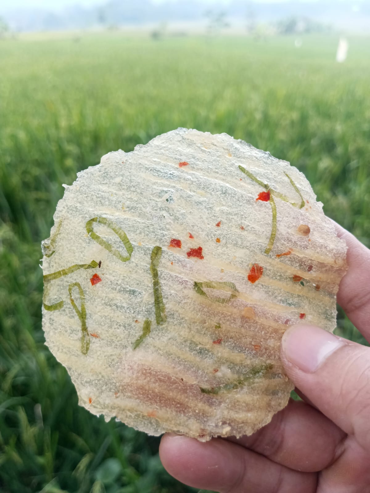 Kicimpring Singkong Mentah Bawang Cabai Gurih dan Renyah Camilan Kering Cemilan Kerupuk Snacks Makanan Keripik Pedas Food Kripik Opak Singkong Manis Asin enak