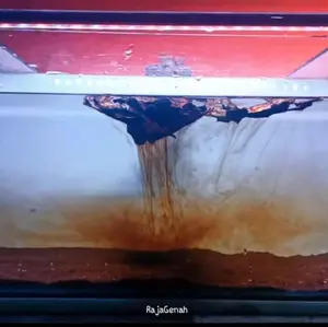 Extrak Air Daun Ketapang Raja Genah