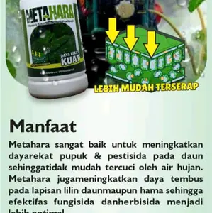 Pupuk Perekat Metahara pembasah,perata dan penembus isi 1L