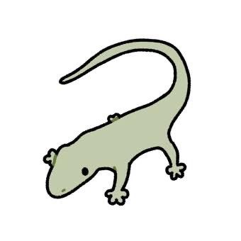 P4tung Gambargecko viral di indo 0