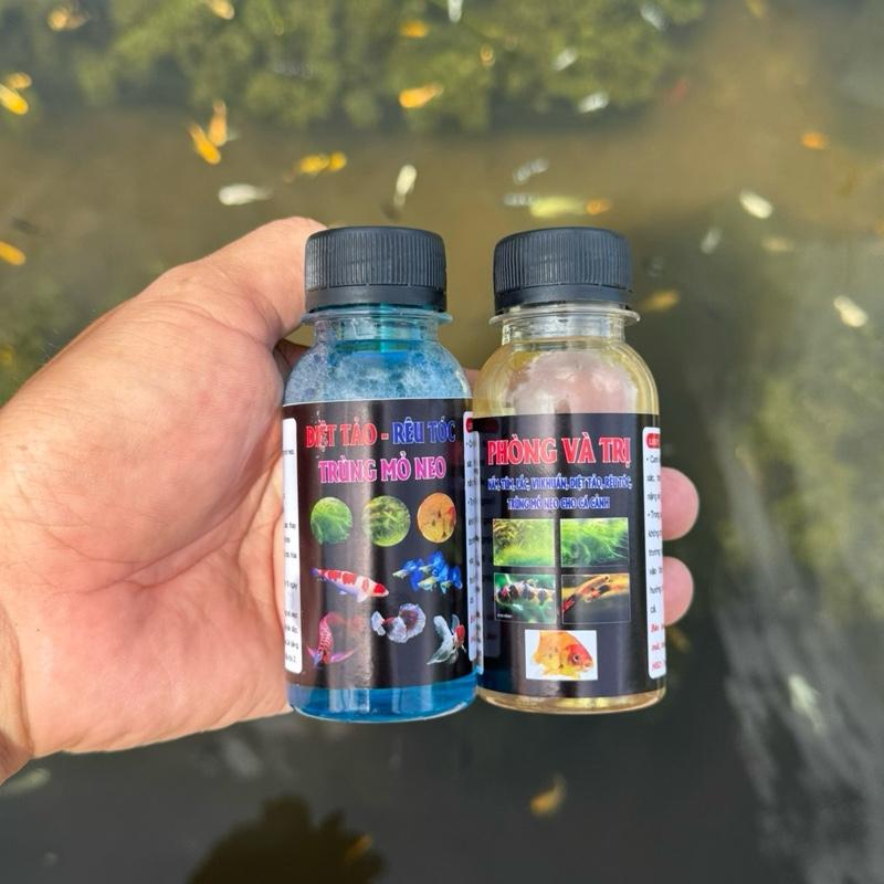 diệt tảo riêu tóc trùng mỏ neo. phòng trị bệnh nắm,túm,lắc - TikTok ...