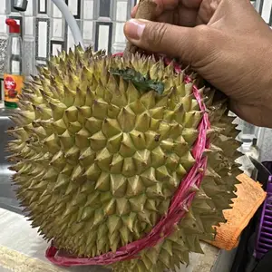 BAN TUBELESS BAN PRIMAAX SK03 80-80 90-80 CARNAGE RING 14 DAN RING 17  - BAN PRIMAX TUBELESS SK 03 SK03 80/80 90/80 RING 14 DAN 17 CARNAGE