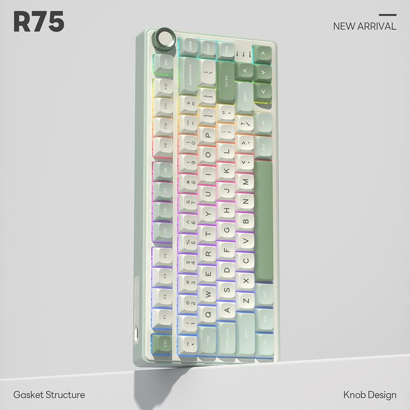 Product Introduction of RK ROYAL KLUDGE R75 Mechanical Keyboard Wired with Volume Knob, r75% TKL Custom Gaming Keyboard Gasket Mount RGB Backlit with Software, Hot Swappable Silver Switch, PBT Keycaps 0