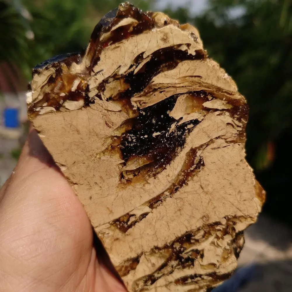 Bahan Alami untuk Kesehatan - Potongan Kayu dengan Pola Unik dan Warna Coklat