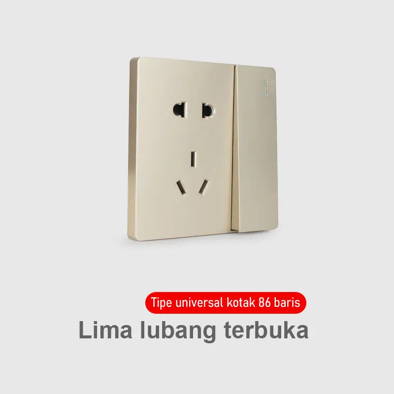 5-Hole Socket+Switch