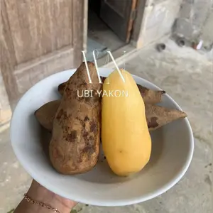 Ubi yakon ukuran kecil bergaransi