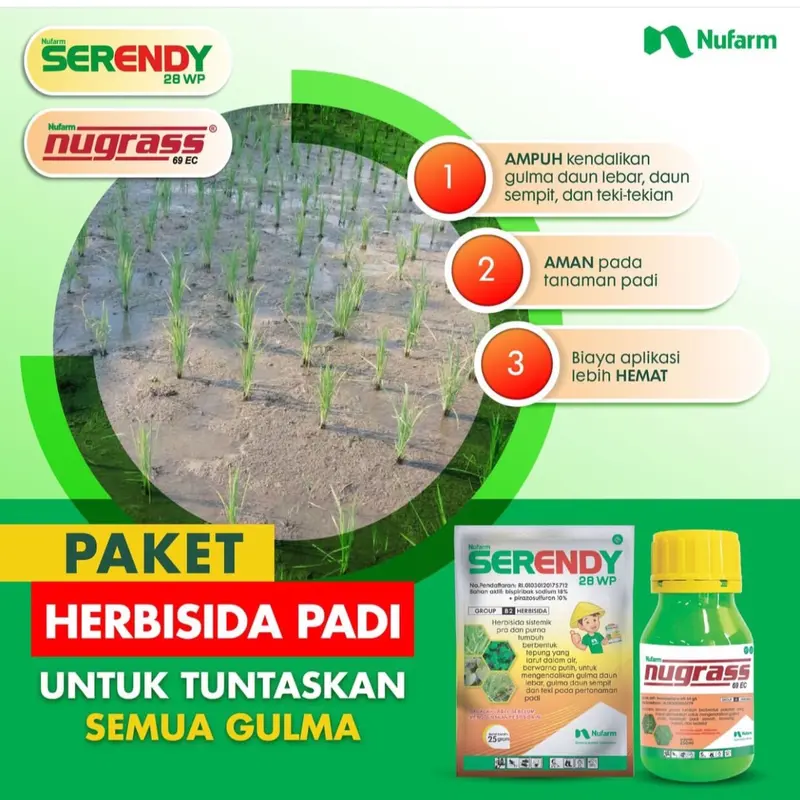 ￼herbisida NUGRASS 100ml + SERENDY 25 gram  paket bebas gulma  padi tidak menguning Tanaman 1