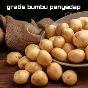Kentang Rendang Baby Potato Gratis Bumbu Penyedap Terlaris untuk Masakan Lezat dan Gurih