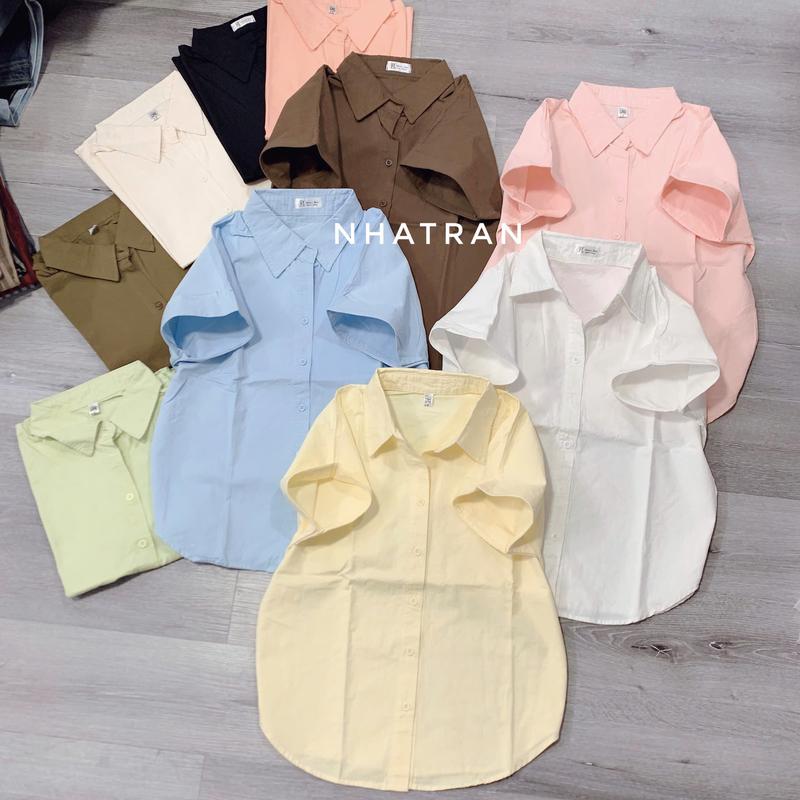 PHOM DƯỚI 54kg Áo sơ mi nữ cổ bẻ tay ngắn chất kaki cotton Top Women Pastel TN-thêu ngựa