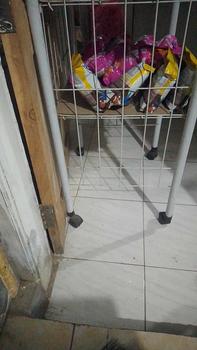 Product Review of Raket bulutangkis badminton anak isi 2 pcs free tas from 🅰** 0