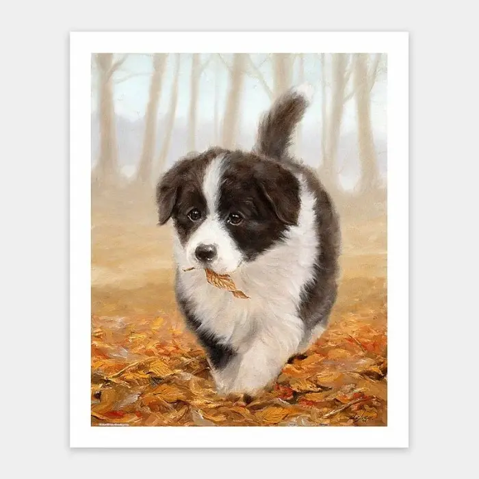 PROMO- PINTOO PUZZLE 500 H2802 JOHN SILVER - BORDER COLLIE -beriestro19 0