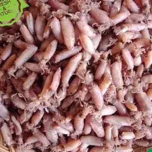 BABY CUMI ASIN 500gr Food