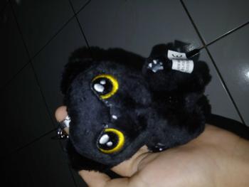 Product Review of [ENH] Unoff Enhypen Doll Plushie Jay Jake Heeseung Niki Jungwon Sunoo Sunghoon Boneka karakter Toys from k**e 1
