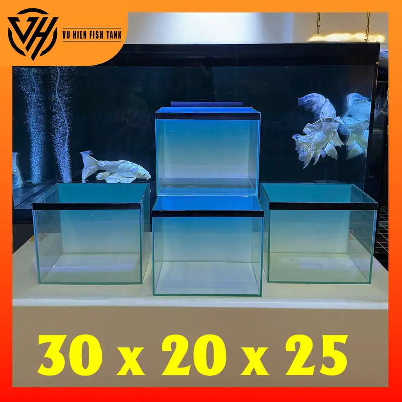 Hồ 30x20x25 bả keo đen tặng tranh BlueSky 6
