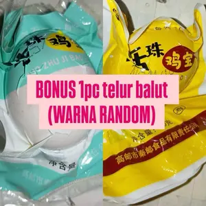 BONUS 1PC TELUR BALUT RANDOM