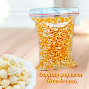 Jagung Popcorn MUSHROOM 500 gram Jumbo Asli Premium Afrika untuk Snack dan Food